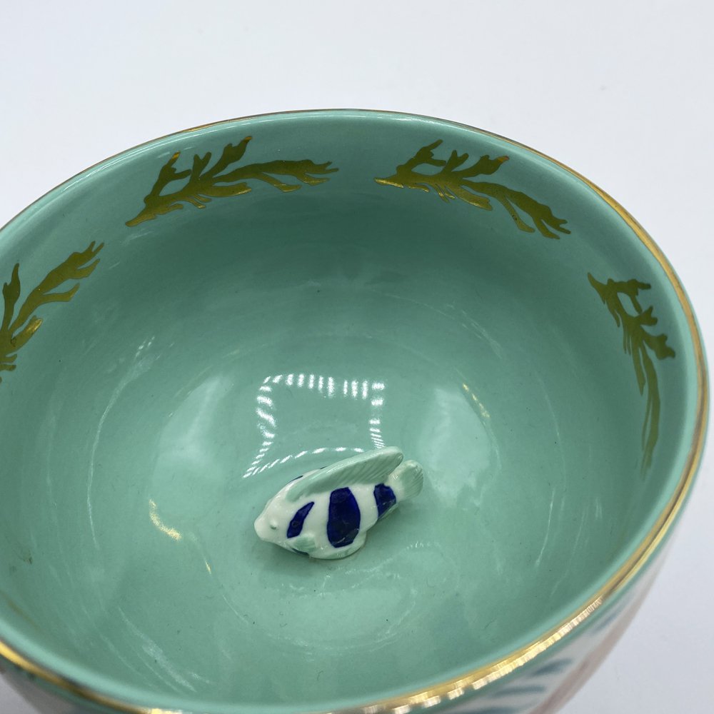 House of Disaster - Koraal - Theekop